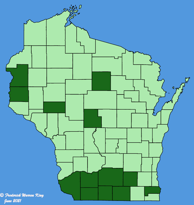 map-wis-wf-Echinacea-pallida.JPG