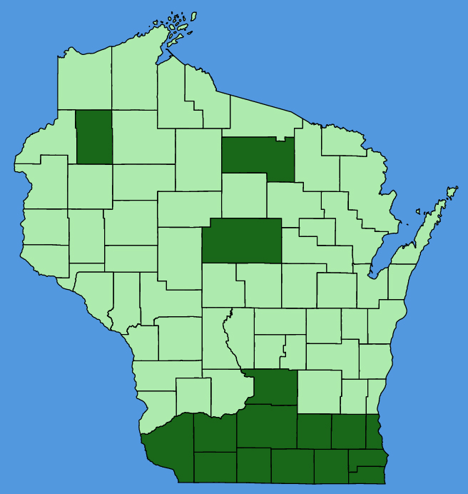 map-wis-wf-Eryngium-yuccifolium.JPG