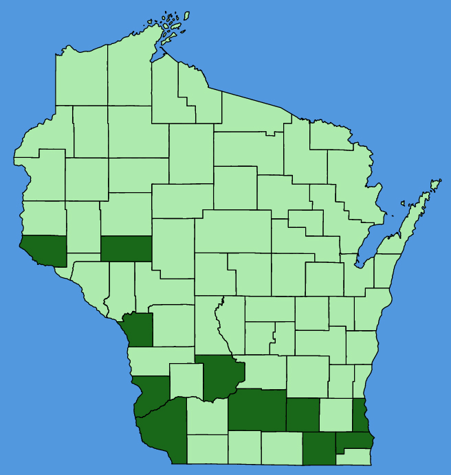 map-wis-wf-Euphorbia-dentata.JPG
