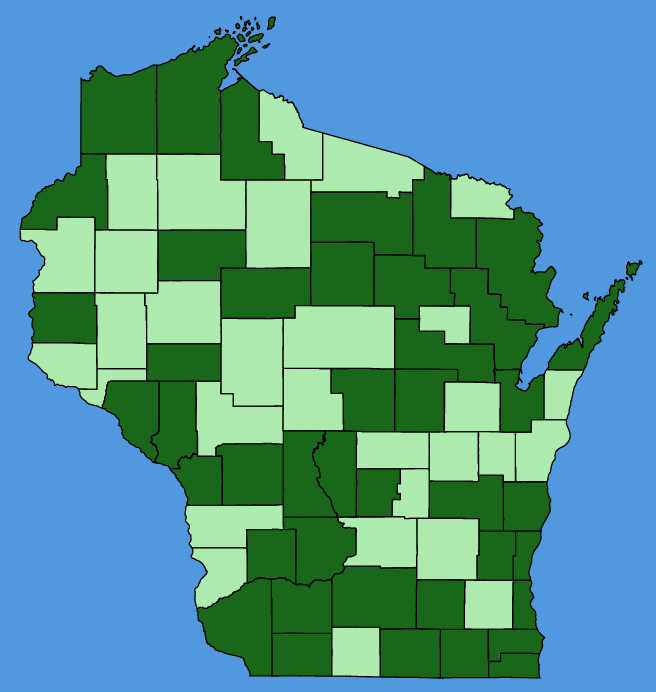 map-wis-wf-Euphorbia-virgata.JPG