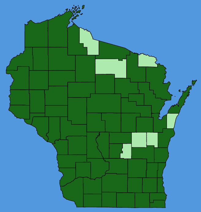 map-wis-wf-Fallopia-scandens.JPG