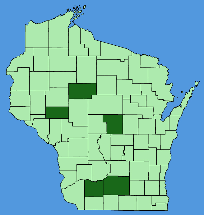 map-wis-wf-Gaillardia-pulchella.JPG