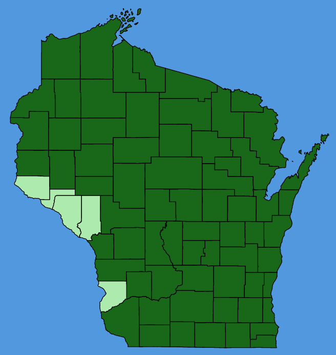 map-wis-wf-Geum-aleppicum.JPG