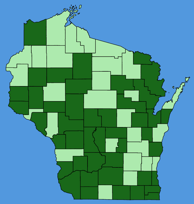 map-wis-wf-Helianthus-annuus.JPG
