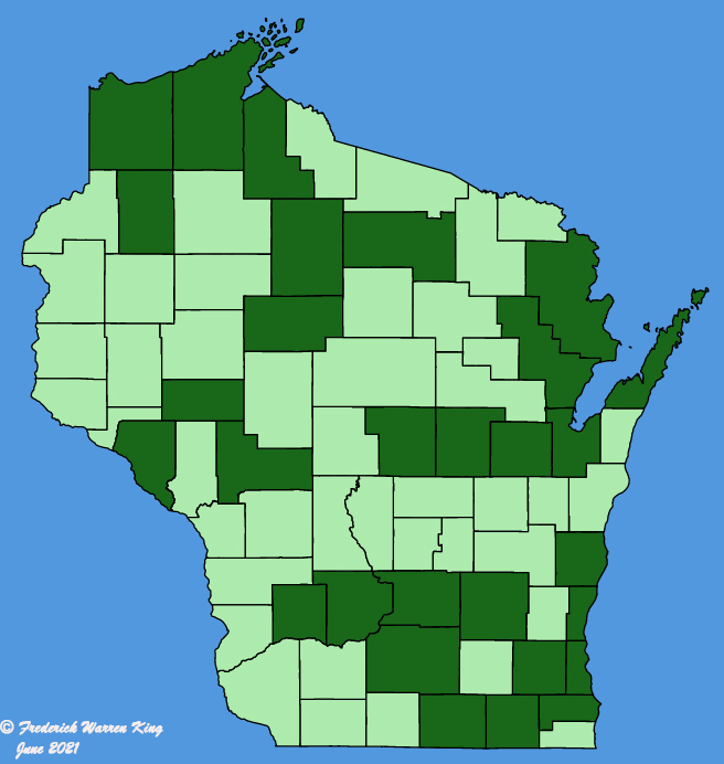 map-wis-wf-Helianthus-maximiliani.JPG