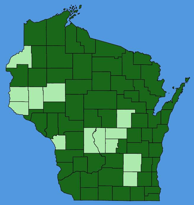 map-wis-wf-Heracleum-maximum.JPG