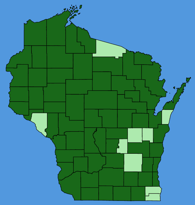 map-wis-wf-Hypericum-ascyron.JPG