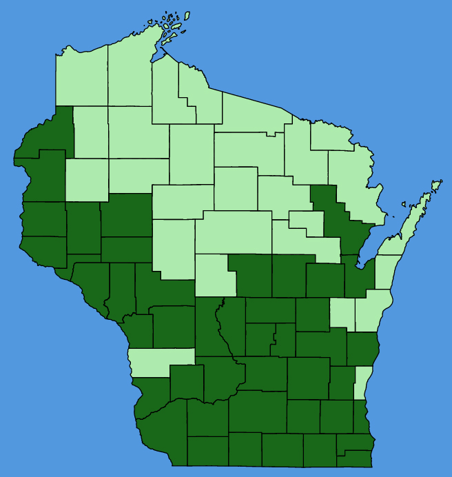 map-wis-wf-Hypoxis-hirsuta.JPG