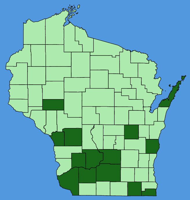 map-wis-wf-Ipomoea-purpurea.JPG
