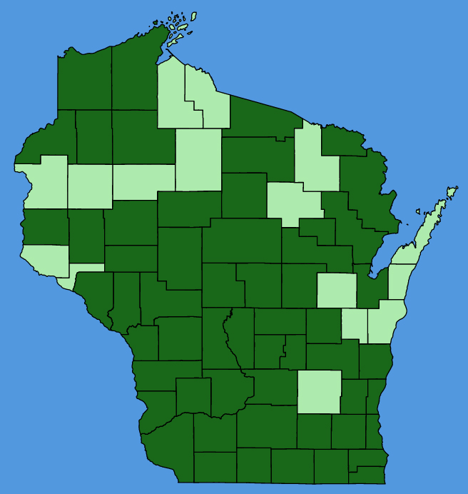 map-wis-wf-Krigia-biflora.JPG