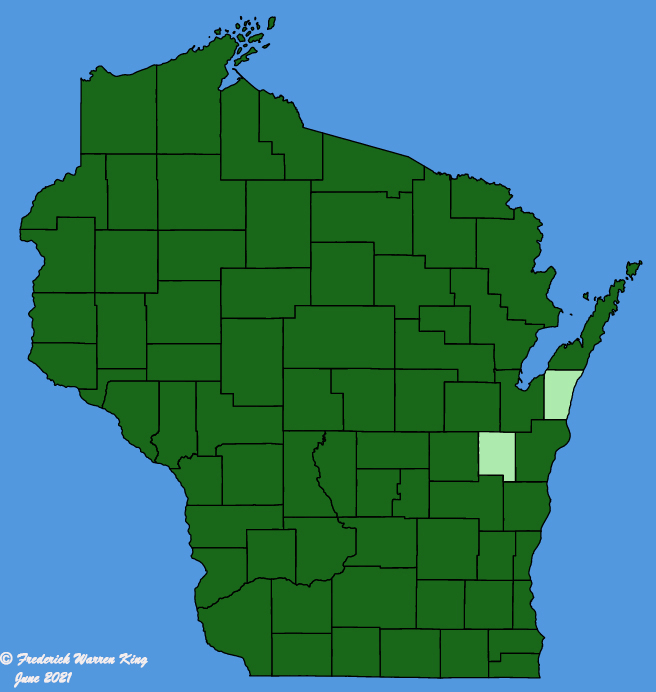 map-wis-wf-Lactuca-canadensis.JPG