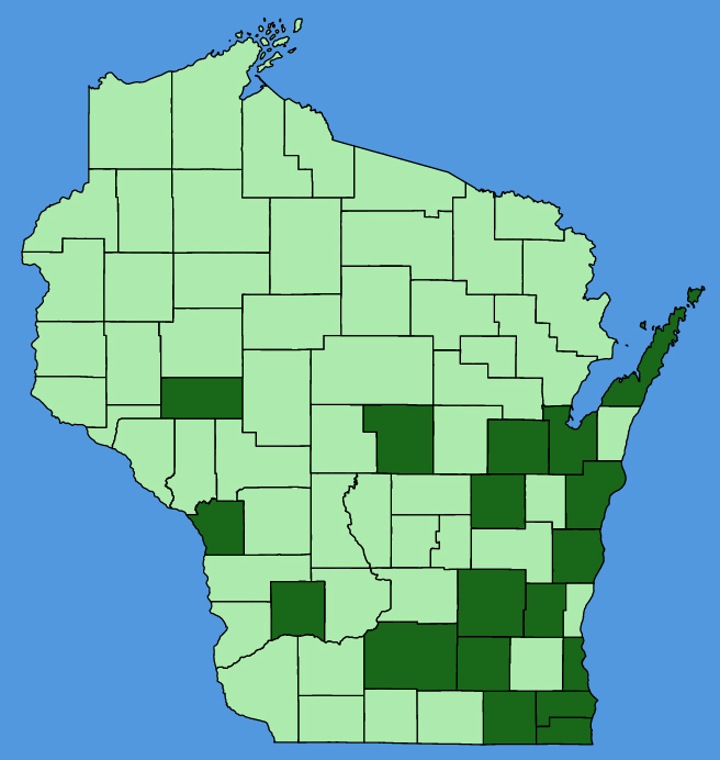 map-wis-wf-Lamium-amplexicaule.JPG