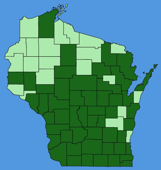 map-wis-wf-Lepidium-virginicum.JPG