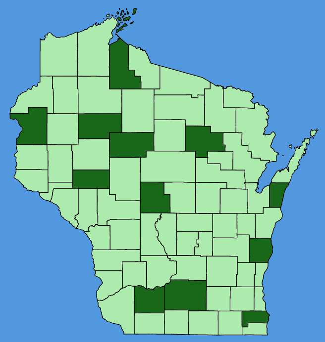 map-wis-wf-Lilium-lancifolium.JPG