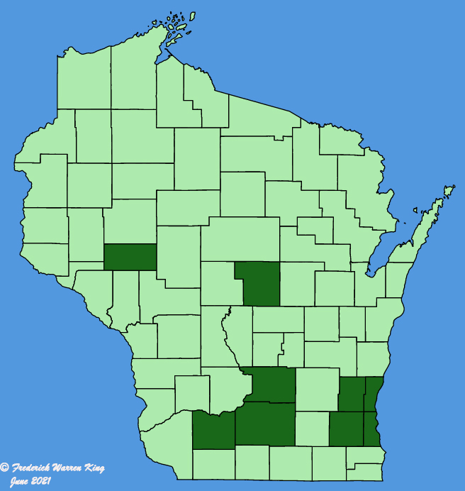 map-wis-wf-Lobularia-maritima.JPG