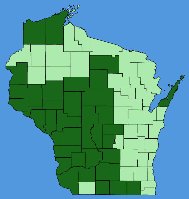 map-wis-wf-Lysimachia-lanceolata.JPG