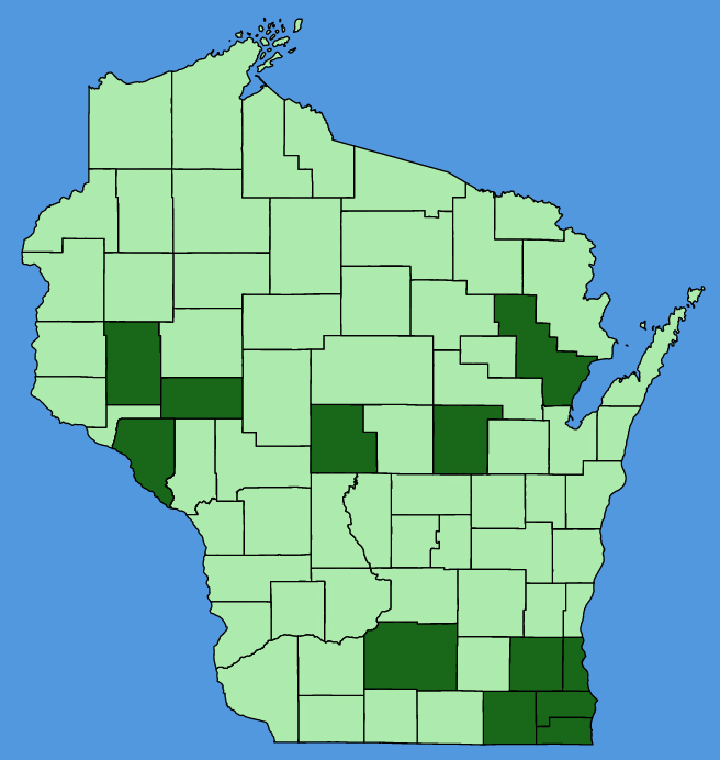 map-wis-wf-Lysimachia-vulgaris.JPG