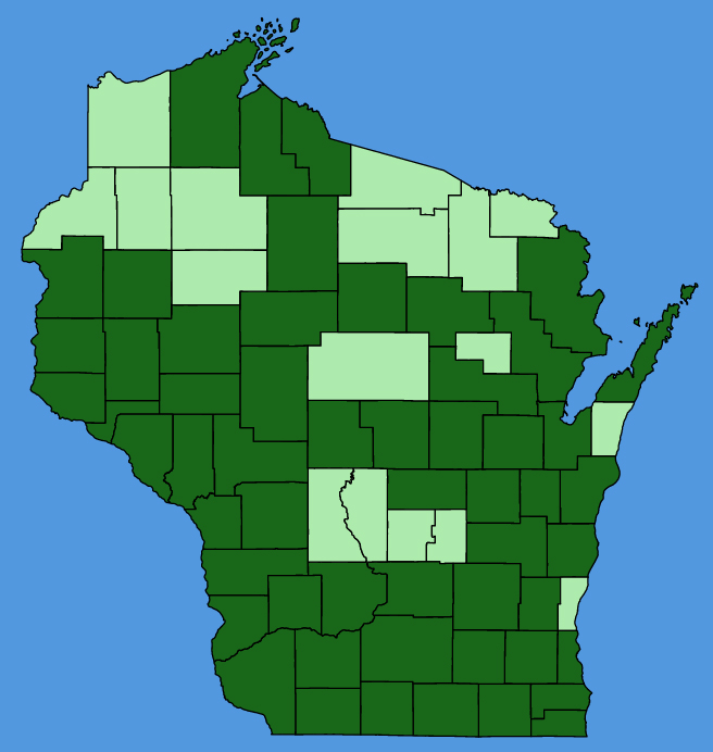 map-wis-wf-Malva-neglecta.JPG