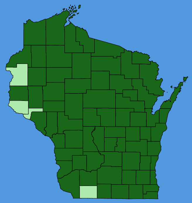 map-wis-wf-Matricaria-discoidea.JPG