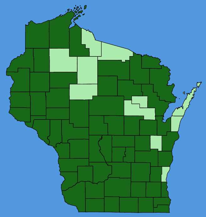 map-wis-wf-Mirabilis-nyctaginea.JPG