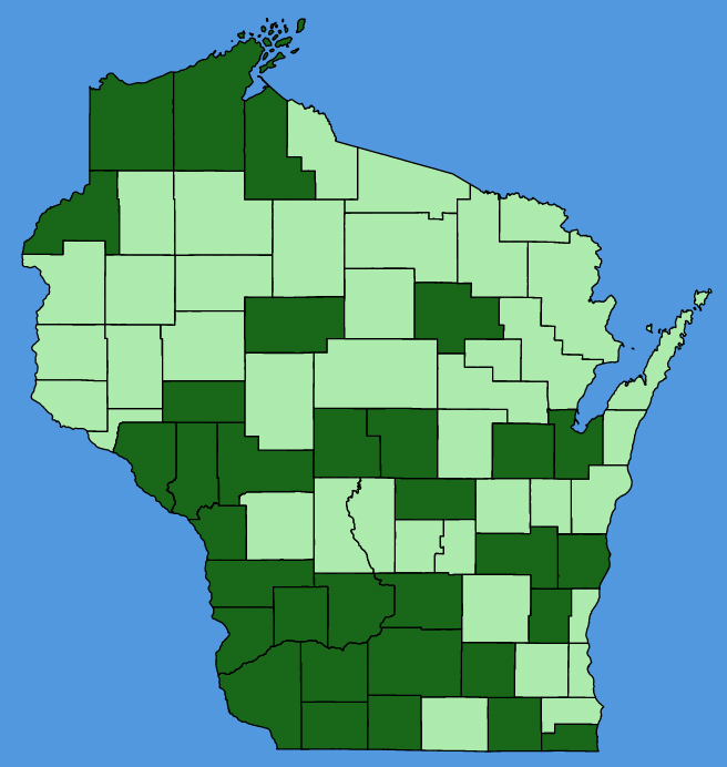 map-wis-wf-Miscanthus-sacchariflorus.JPG