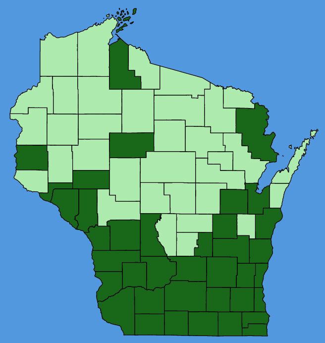 map-wis-wf-Morus-alba.JPG