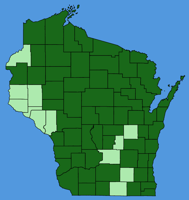 map-wis-wf-Packera-aurea.JPG