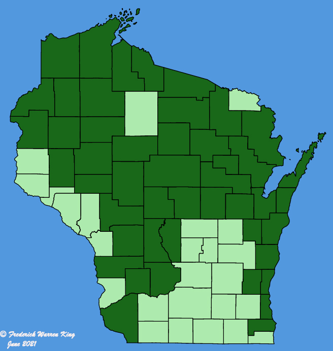 map-wis-wf-Panax-trifolius.JPG