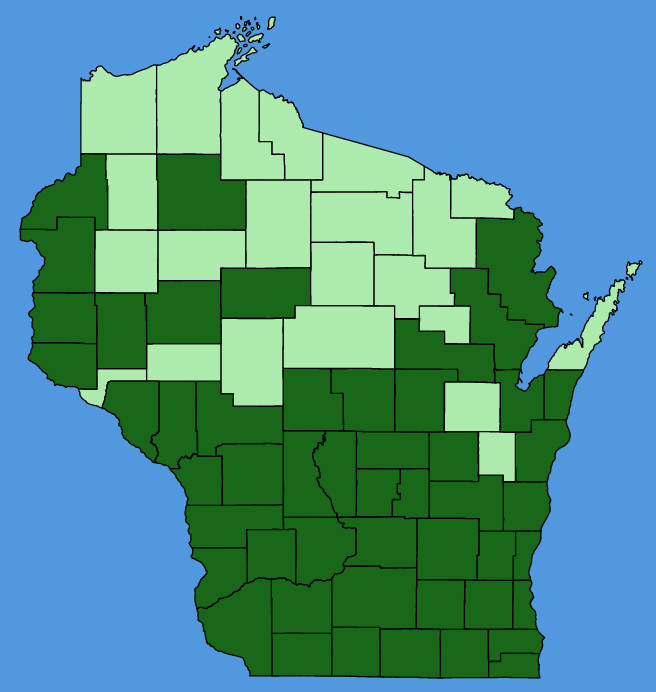 map-wis-wf-Pycnanthemum-virginianum.JPG