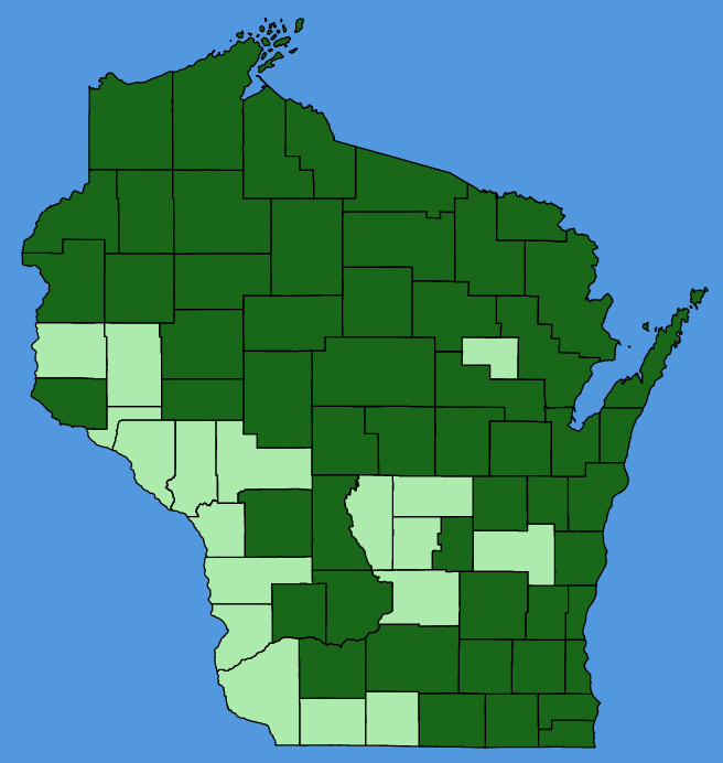 map-wis-wf-Ranunculus-acris.JPG