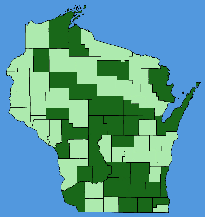 map-wis-wf-Raphanus-raphanistrum.JPG