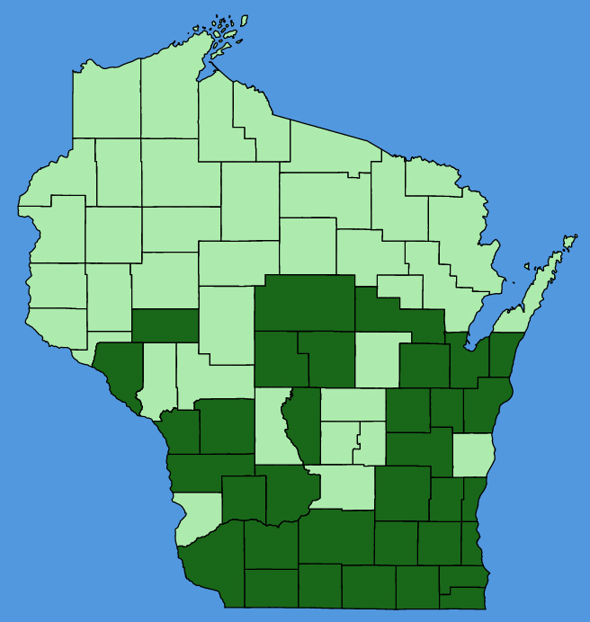 map-wis-wf-Rudbeckia-triloba.JPG