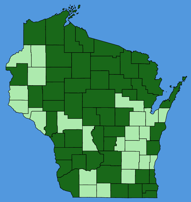 map-wis-wf-Rumex-obtusifolius.JPG