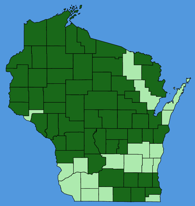 map-wis-wf-Sagittaria-rigida.JPG