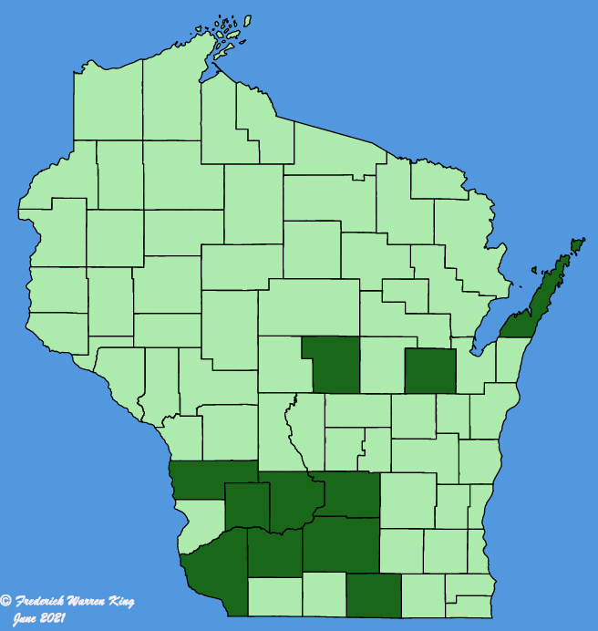 map-wis-wf-Sedum-sarmentosum.JPG