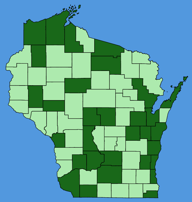 map-wis-wf-Senecio-vulgaris.JPG