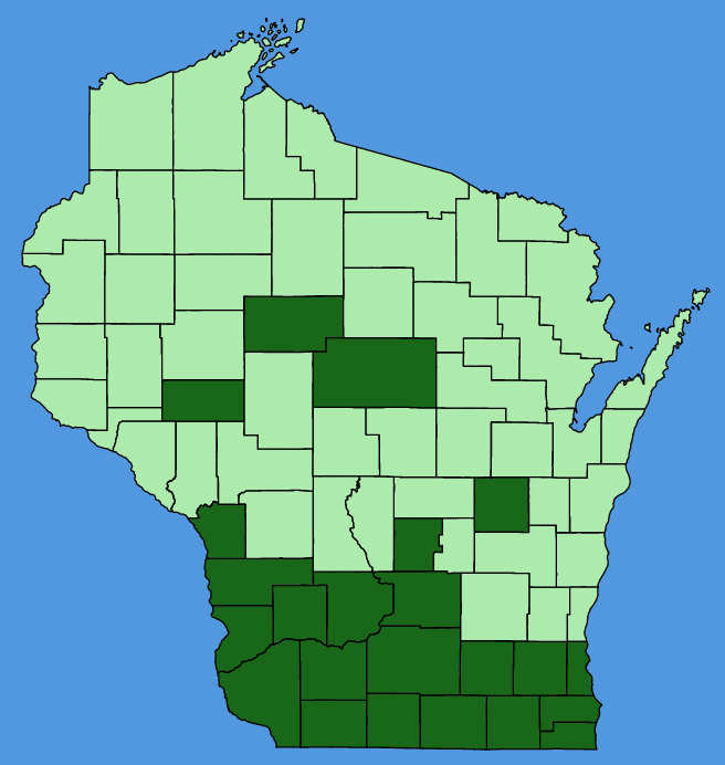 map-wis-wf-Silphium-laciniatum.JPG