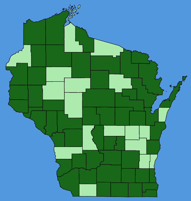 map-wis-wf-Sisymbrium-altissimum.JPG
