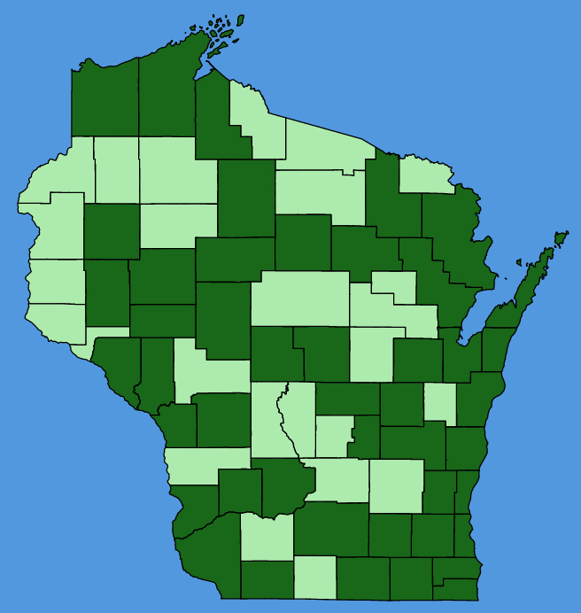 map-wis-wf-Sonchus-asper.JPG