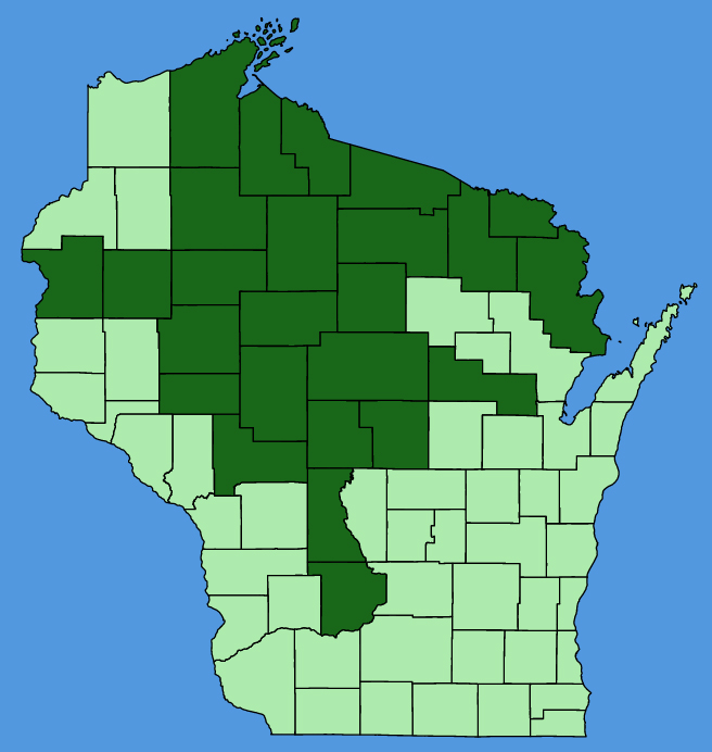 map-wis-wf-Spergularia-rubra.JPG
