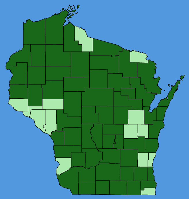 map-wis-wf-Stachys-hispida.JPG