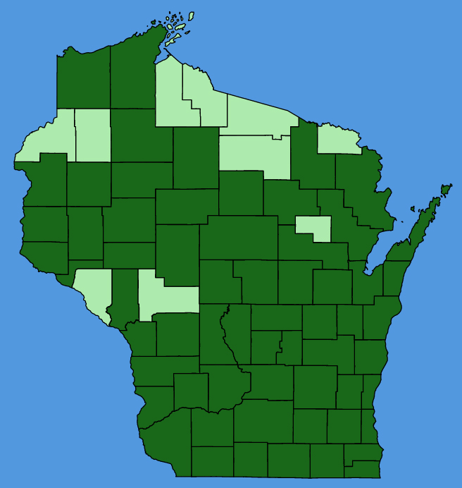 map-wis-wf-Symphyotrichum-novae-angliae.JPG