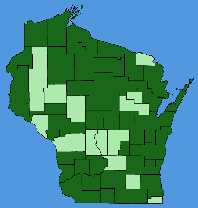 map-wis-wf-Trifolium-campestre.JPG