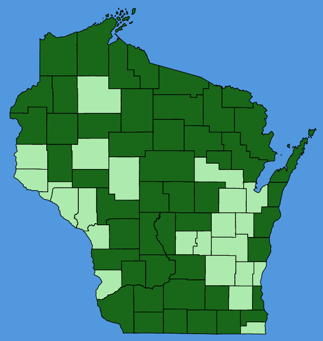 map-wis-wf-Turritis-glabra.JPG