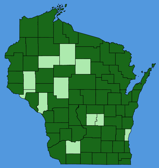 map-wis-wf-Typha-angustifolia.JPG