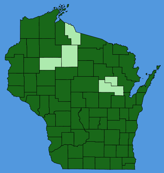 map-wis-wf-Zizia-aurea.JPG