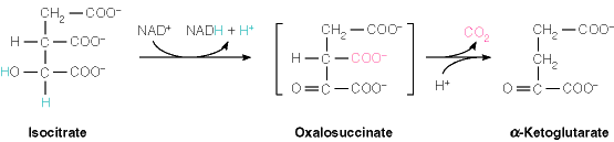 www.chem.uwec.edu